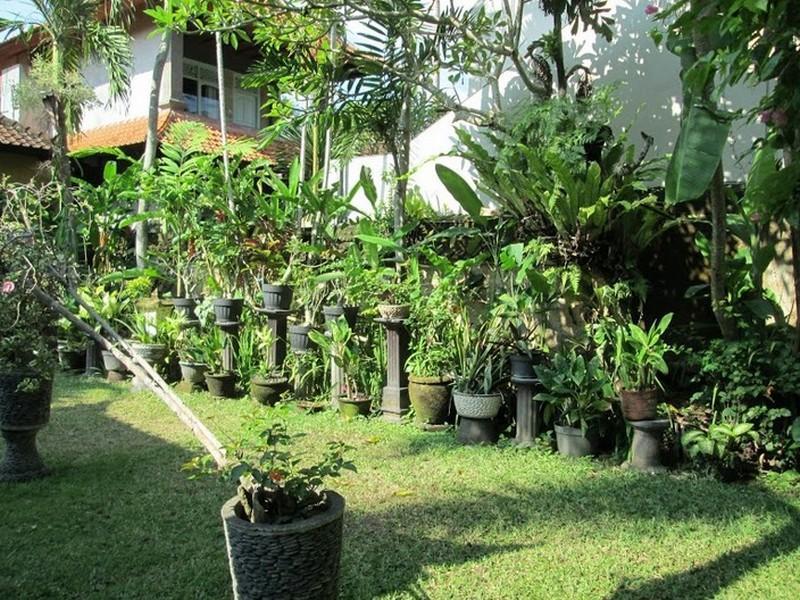 Raka Rai Bungalows Убуд Экстерьер фото